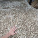 혁신종합세탁 이미지