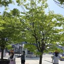 [평택섶길 완주 걷기여행 _ 종단길] 이미지
