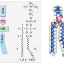두리약국 이미지