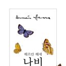 케이나비