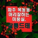 살롱드태 네이버블로그
