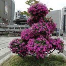 고향산천슈퍼 이미지