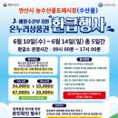 온누리