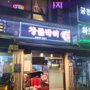 찬돌박이