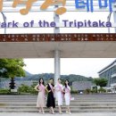 대장경테마파크 이미지