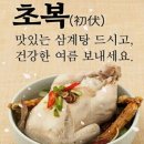 2022년 복날 초복 중복 말복 이미지