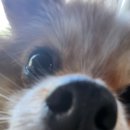 포지티브 보울 이미지