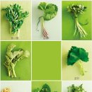 신금호약국 이미지