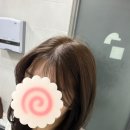 오늘컷헤어 | 강남구청역 미용실 염색 잘하는 청담 단헤어디자인 레이어드컷 후기