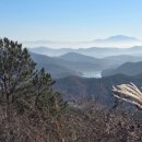 월랑월랑 이미지