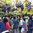 김덕수농장 이미지