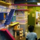 고양이 놀이터 이미지