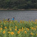 하동못안마을 이미지