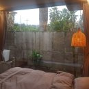 그리니제주 이미지