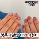 티아나네일 | 청주 우암동 네일샵 :: 티아나뷰티 원컬러 자석젤 후기