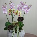 한우리부동산중개 이미지