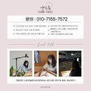 새누리어린이집 | [샌드아트 체험] 부산 새누리교회 여름 성경학교 기독교 샌드아트 체험