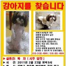 복자 - 광양시 서천변로 28 | 복자