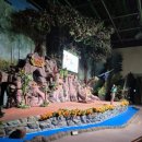 애니멀랜드 | 에버랜드 슈퍼윙스 애니멀톡 &amp; 타이거밸리 호랑이 직관 후기