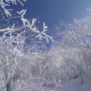 군자역우리약국 이미지