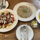 마이포레스트 이미지