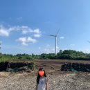 베롱베롱 민박 이미지