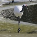 바다보기 이미지