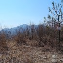 구수 Daum카페