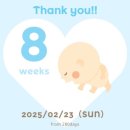 (주)아성다이소 수원역지하상가점 | 임신 8주차 초음파 젤리곰 입덧 증상 심장소리 듣고 할 일 : 프라우디 조리원 예약, 튼살크림 바르는 시기