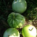 율촌농장 이미지