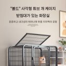 강아지공간 이미지