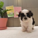 중화역3번출구 이미지