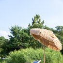 백호베드 이미지