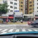 애드펫동물병원 이미지