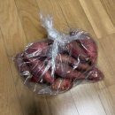 11650-17-197-41 | 2026년 1월 일상