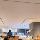 손연재 카카오 검색결과