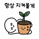 뽀그리 상점 이미지