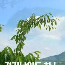 밀양호전망대 이미지