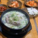 소나무전통차