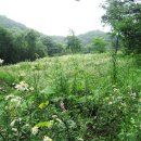 설악농장 이미지