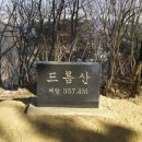 춘천부르스