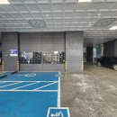 블루마레 이미지