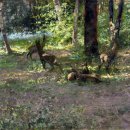 바닷가에서 이미지