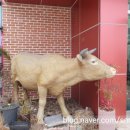 삼가축산 이미지