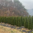 그린농장 이미지