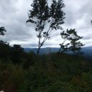 봉오산(峰吾山722m).가래봉(635m).사방봉./강원 화천 이미지