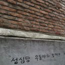 대덕1통 | 대전 빵투어 코스 추천(하레하레, 몽심, 성심당) 노을 1통케이크 대존맛 후기