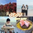 ㈜제주마음렌트카 | 8개월 아기랑 제주 2박3일 여행코스 총정리(제주마음렌트카, 유채꽃, 동백꽃)