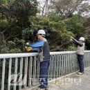 용담지석묘 2호 이미지