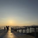 부자손짜장 | 사천 맛집 원조 부자손짜장 송포동본점 후기｜불짜장이 유명한 이유